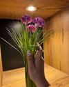 Graphics Almond Press on Nails - N012