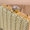 Chloe Women Clutch- Champagne