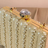 Chloe Women Clutch- Champagne